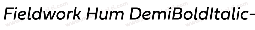 Fieldwork Hum DemiBoldItalic字体转换